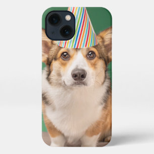 Kutest Baby Animals   Corgi Birthday Puppy iPhone 13 Hoesje