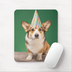 Kutest Baby Animals   Corgi Birthday Puppy Muismat