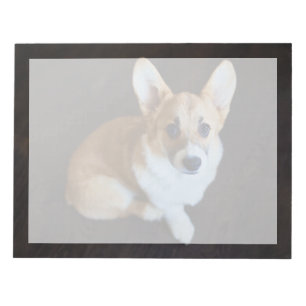 Kutest Baby Animals Corgi die omhoog kijkt Notitieblok