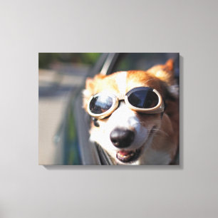 Kutest Baby Animals Corgi Goggles in de auto Canvas Afdruk