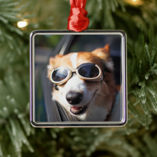 Kutest Baby Animals Corgi Goggles in de auto Metalen Ornament