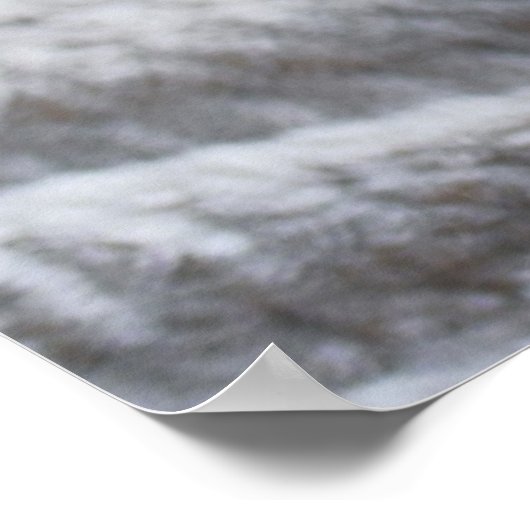 Kutest Baby Animals | Corgi Head Tilt Poster (Hoek)