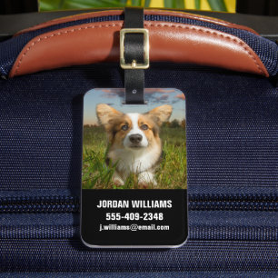 Kutest Baby Animals   Corgi in Cloudy Yard Bagagelabel