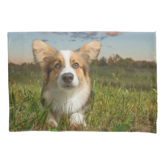 Kutest Baby Animals | Corgi in Cloudy Yard Kussensloop (Voorkant)