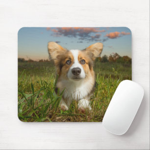 Kutest Baby Animals   Corgi in Cloudy Yard Muismat