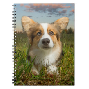 Kutest Baby Animals Corgi in Cloudy Yard Notitieboek