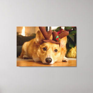 Kutest Baby Animals Corgi-kerstrenrenrendiertje Canvas Afdruk