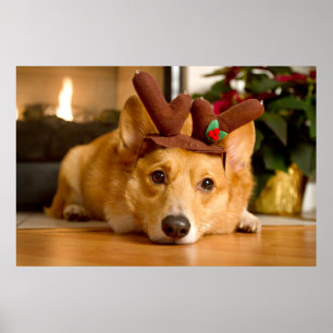 Kutest Baby Animals Corgi-kerstrenrenrendiertje Poster