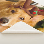 Kutest Baby Animals | Corgi-kerstrenrenrendiertje Sherpa Deken (3/4)