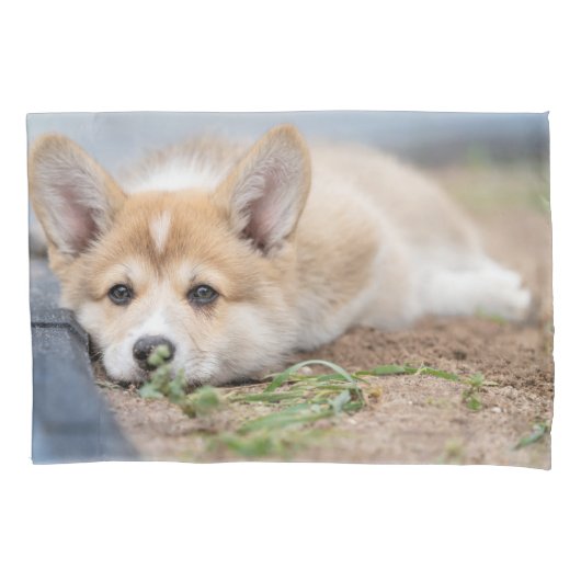 Kutest Baby Animals | Corgi Laying in the Yard Kussensloop (Voorkant)