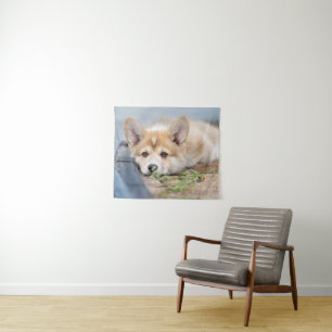 Kutest Baby Animals Corgi Laying in the Yard Wandkleed