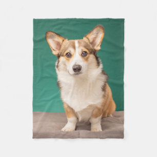 Kutest Baby Animals Corgi over Blauwgroen Fleece Deken