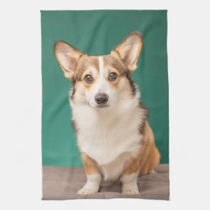 Kutest Baby Animals   Corgi over Blauwgroen Theedoek