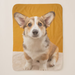 Kutest Baby Animals Corgi Portret op Sinaasappel Sherpa Deken