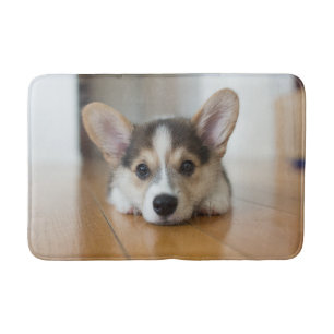Kutest Baby Animals   Corgi Puppy Badmat