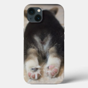 Kutest Baby Animals Corgi Puppy Behind iPhone 13 Hoesje