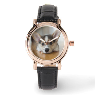 Kutest Baby Animals   Corgi Puppy Horloge