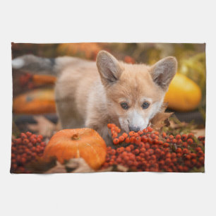 Kutest Baby Animals   Corgi Puppy in het najaar Theedoek