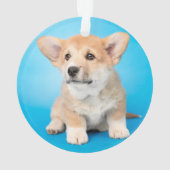 Kutest Baby Animals | Corgi Puppy op blauw Ornament (achterkant)