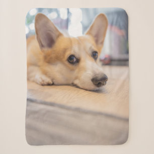 Kutest Baby Animals Corgi Puppy op de vloer Sherpa Deken