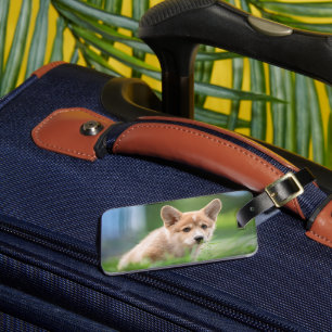 Kutest Baby Animals Corgi Puppy op de Yard Bagagelabel