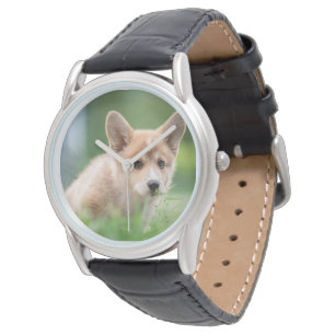 Kutest Baby Animals Corgi Puppy op de Yard Horloge
