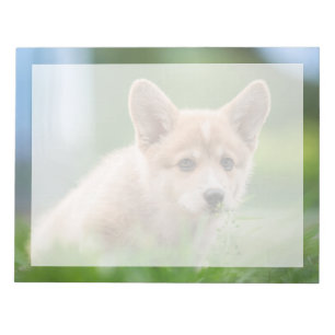 Kutest Baby Animals Corgi Puppy op de Yard Notitieblok