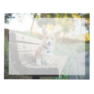 Kutest Baby Animals Corgi Puppy op een parkbank Notitieblok
