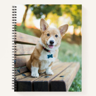 Kutest Baby Animals   Corgi Puppy op een parkbank Notitieboek