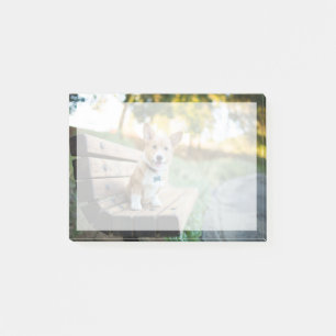 Kutest Baby Animals Corgi Puppy op een parkbank Post-it® Notes