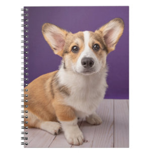 Kutest Baby Animals Corgi Puppy op Paars Notitieboek