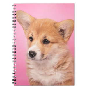 Kutest Baby Animals Corgi Puppy op roze Notitieboek