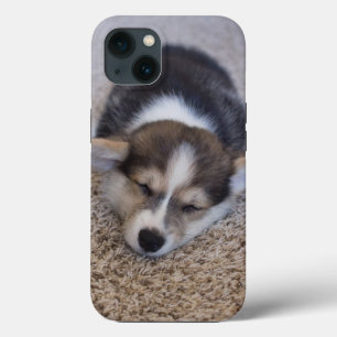 Kutest Baby Animals Corgi Puppy op Shag Rug iPhone 13 Hoesje
