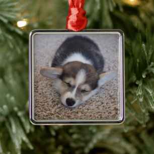 Kutest Baby Animals   Corgi Puppy op Shag Rug Metalen Ornament