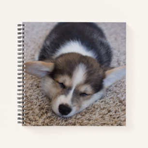 Kutest Baby Animals Corgi Puppy op Shag Rug Notitieboek