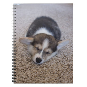 Kutest Baby Animals   Corgi Puppy op Shag Rug Notitieboek