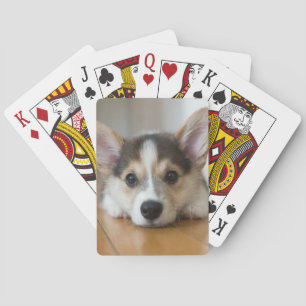 Kutest Baby Animals   Corgi Puppy Pokerkaarten