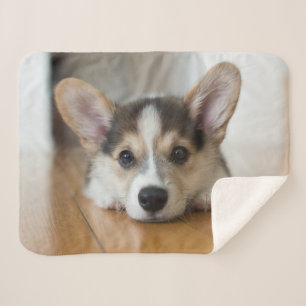 Kutest Baby Animals Corgi Puppy Sherpa Deken