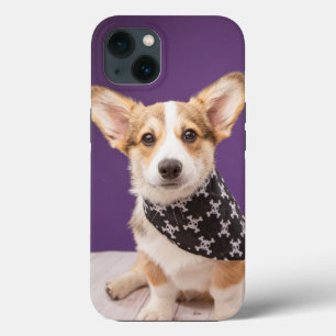 Kutest Baby Animals Corgi Puppy Skull Bandana iPhone 13 Hoesje