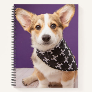Kutest Baby Animals   Corgi Puppy Skull Bandana Notitieboek