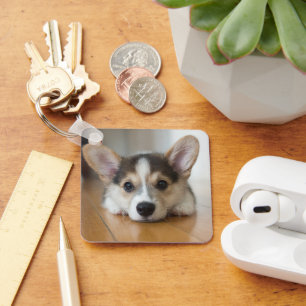 Kutest Baby Animals Corgi Puppy Sleutelhanger