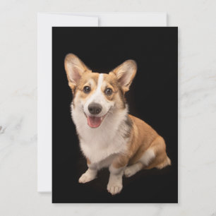 Kutest Baby Animals Corgi Puppy Smile Bedankkaart