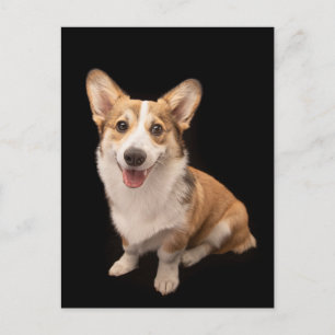 Kutest Baby Animals   Corgi Puppy Smile Briefkaart