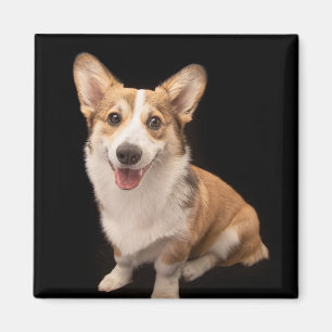 Kutest Baby Animals Corgi Puppy Smile Magneet