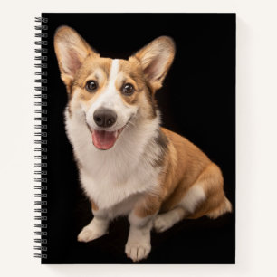 Kutest Baby Animals   Corgi Puppy Smile Notitieboek