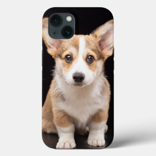 Kutest Baby Animals Corgi Puppy Standing Tall iPhone 13 Hoesje