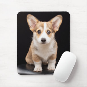 Kutest Baby Animals   Corgi Puppy Standing Tall Muismat
