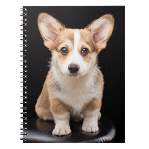 Kutest Baby Animals Corgi Puppy Standing Tall Notitieboek