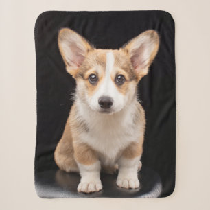 Kutest Baby Animals Corgi Puppy Standing Tall Sherpa Deken