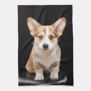 Kutest Baby Animals Corgi Puppy Standing Tall Theedoek